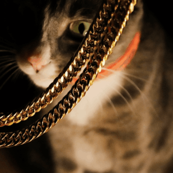 Cuba Chain – ürün görseli